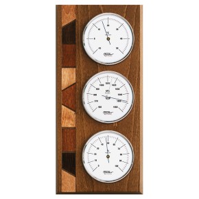 9171 | weather station
